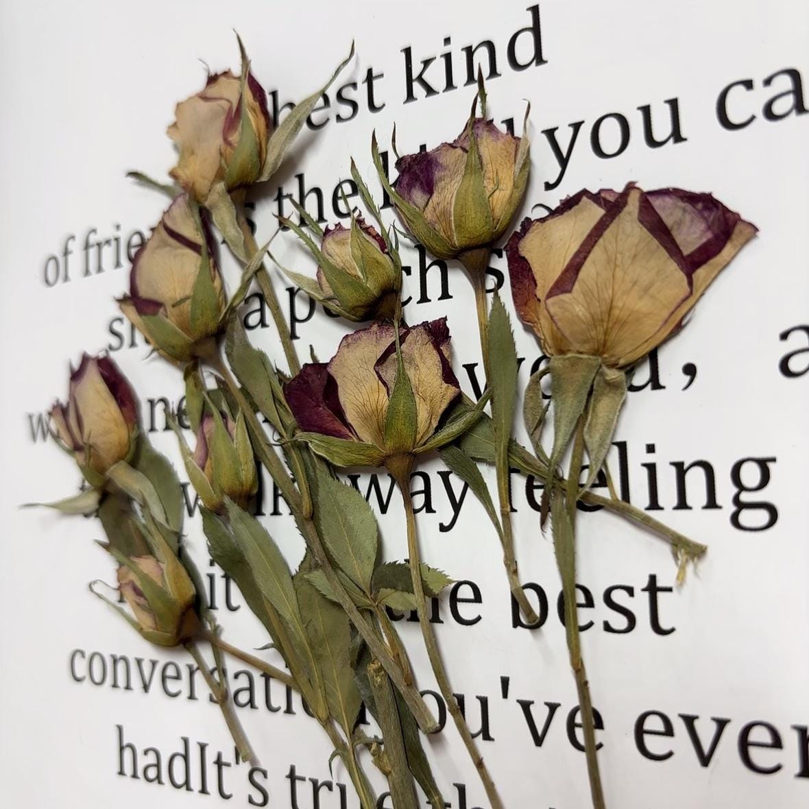 Pressed flowers,8 PCS/Pack,Deep purple dried Pressed flowers Bud,dried flower,Real Dried Pressed flowers,Purple rose,Red rose Valentine gift
