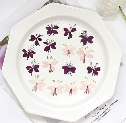 Pressed pink purple butterfly flowers,light pink dried flat flower,Pressed butterfly Flowers,10pcs/Pack,purple red Dried flower(3-3.5cm)