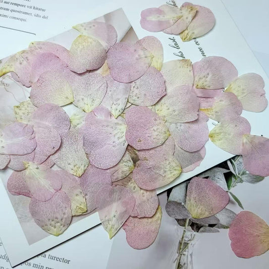 Pink Rose Pressed Flower Petals - 10 PCS - Holiday Crafts