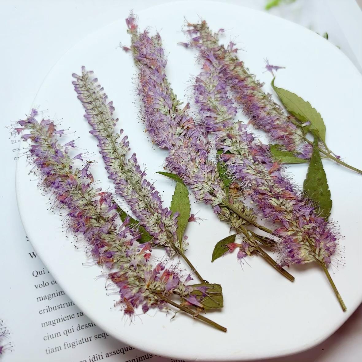 Purple Willow Pressed Flowers - 6 PCS - Wedding Invitation Embellishments