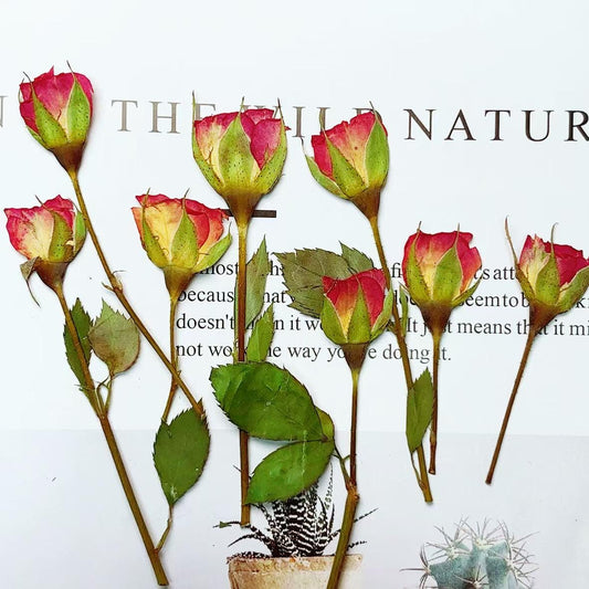 Red Rose Pressed Flowers: Natural Floral Stems, 6 PCS