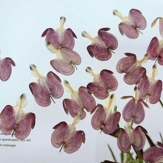 12 Purple Pressed Flowers, Real Dried Floral, Bulk Dry Petals