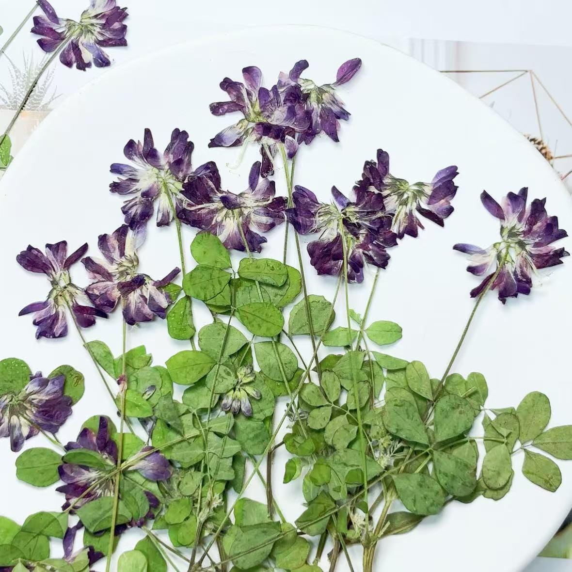 Blue Purple Pressed Flowers, DIY Craft Supplies, 6 PCS