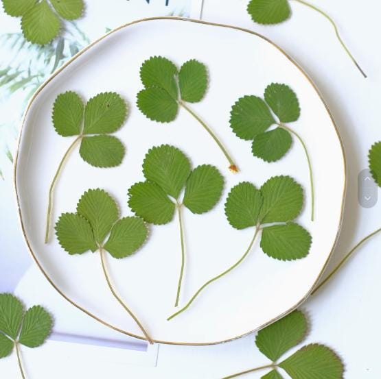 Pressed Strawberry Leaves: Real Green Foliage, Floral Craft (6 PCS/Pack)