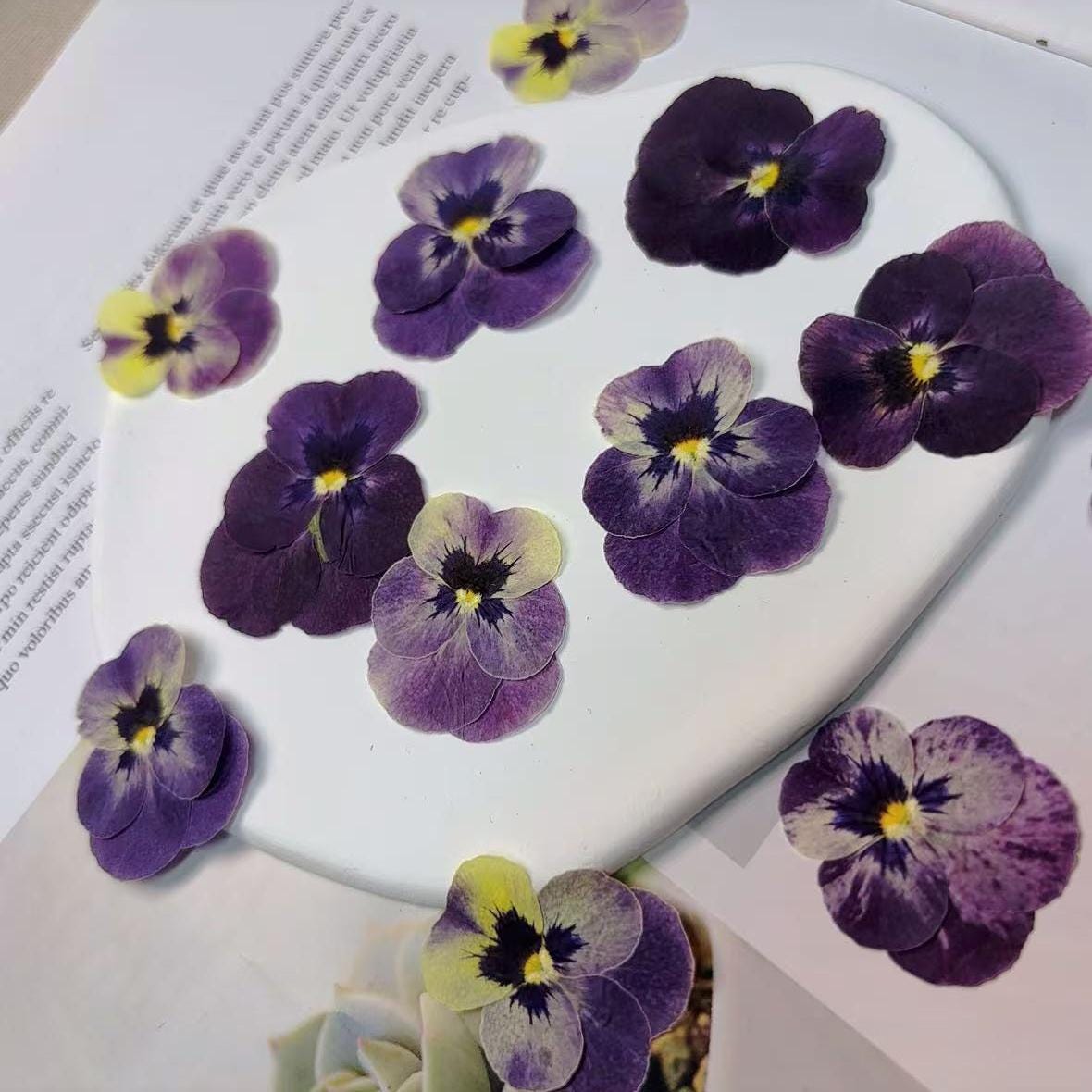 Bulk pressed flower,8 PCS/Pack,dried flat flower packs,pressed flower,purple Pansy Dried flower,Dried flower,Dry flower