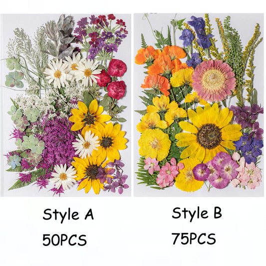 Pressed flowers,mixed dried Pressed flowers,50-100PCS Combination Packs dried flower leaves,resin  Jewelry,Card pressed flower,manicure DIY