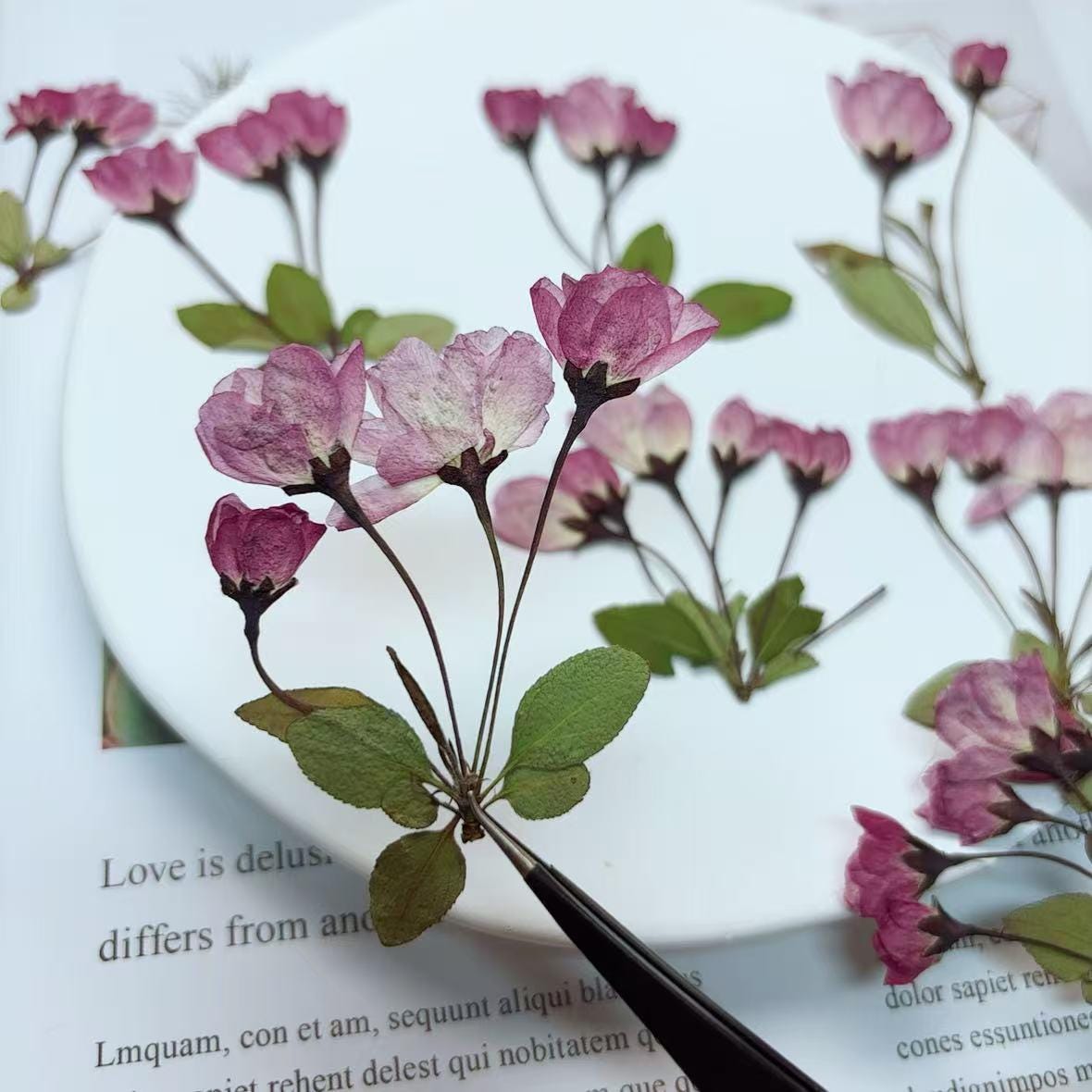 Dry flower for resin,6 PCS/Pack,Cherry Blossom dry Flower natural Flower Leaves Preserved Real Wild Flat Leaf Petal purple