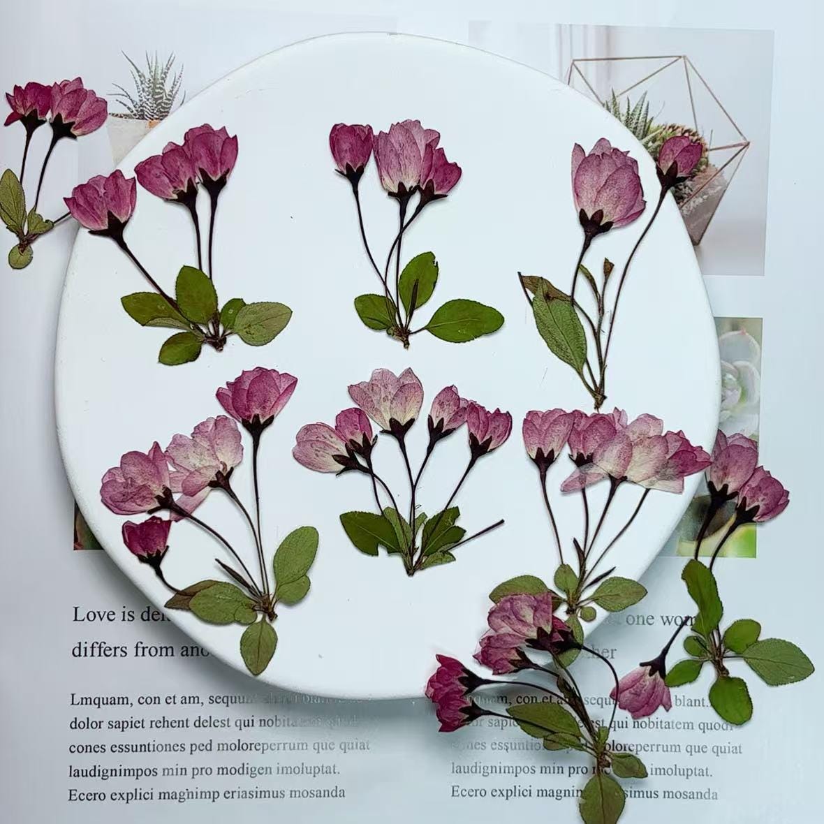 Dry flower for resin,6 PCS/Pack,Cherry Blossom dry Flower natural Flower Leaves Preserved Real Wild Flat Leaf Petal purple