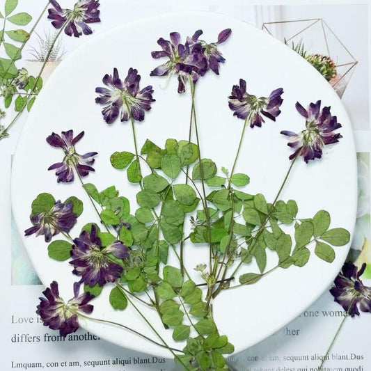 Blue Purple Pressed Flowers, DIY Craft Supplies, 6 PCS
