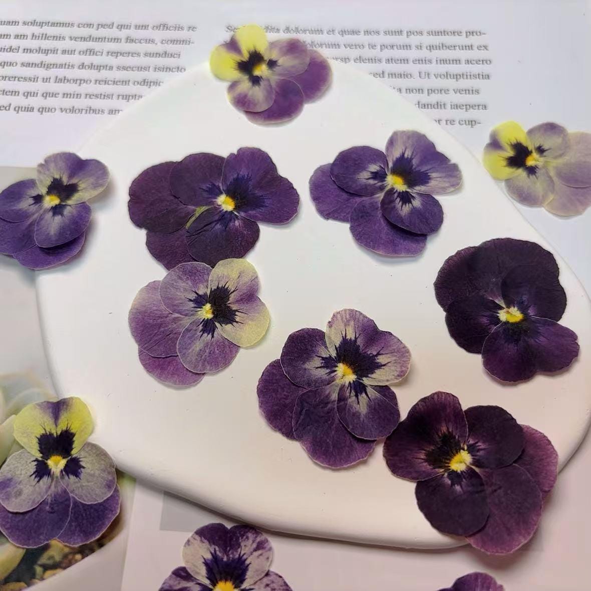 Bulk pressed flower,8 PCS/Pack,dried flat flower packs,pressed flower,purple Pansy Dried flower,Dried flower,Dry flower