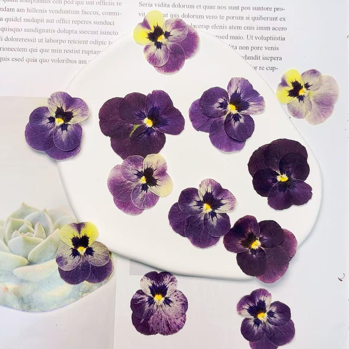 Bulk pressed flower,8 PCS/Pack,dried flat flower packs,pressed flower,purple Pansy Dried flower,Dried flower,Dry flower