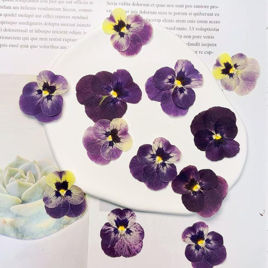Bulk pressed flower,8 PCS/Pack,dried flat flower packs,pressed flower,purple Pansy Dried flower,Dried flower,Dry flower