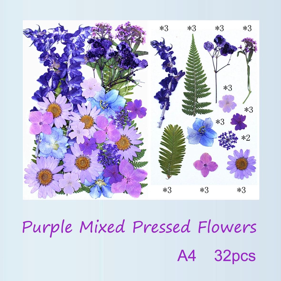 Purple Pressed Flowers: Mixed Dried Flowers for Crafts