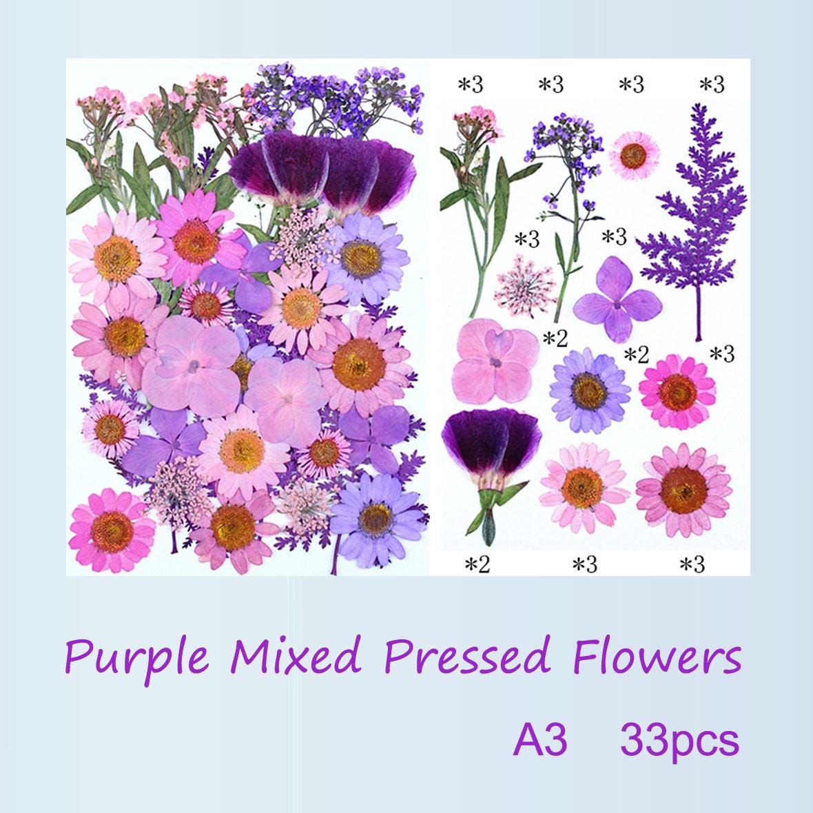 Purple Pressed Flowers: Mixed Dried Flowers for Crafts