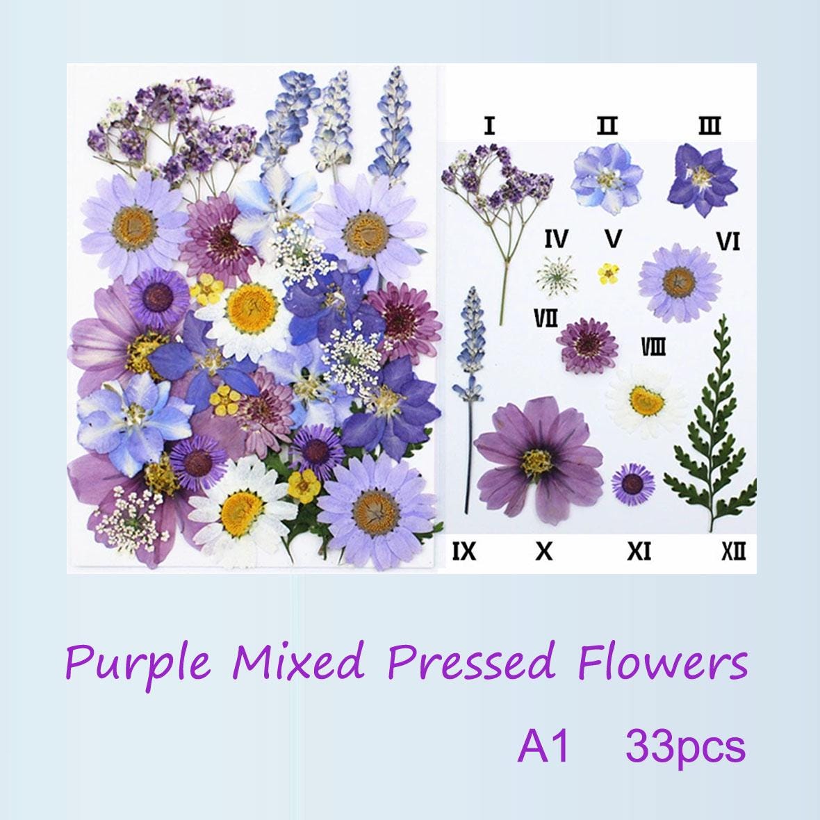 Purple Pressed Flowers: Mixed Dried Flowers for Crafts