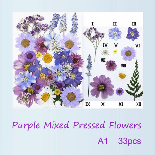 Purple Pressed Flowers: Mixed Dried Flowers for Crafts