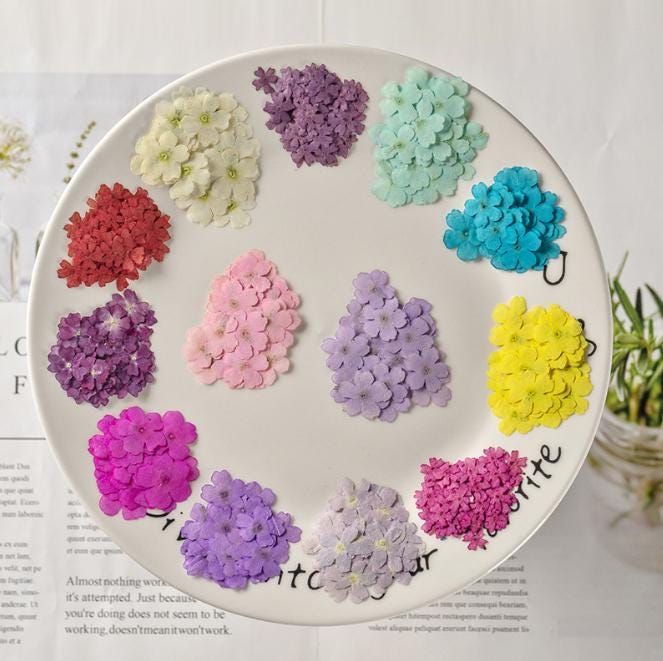Pressed Verbena Flowers: Blue, Purple, Pink, Red, Yellow (12 PCS/PACK)