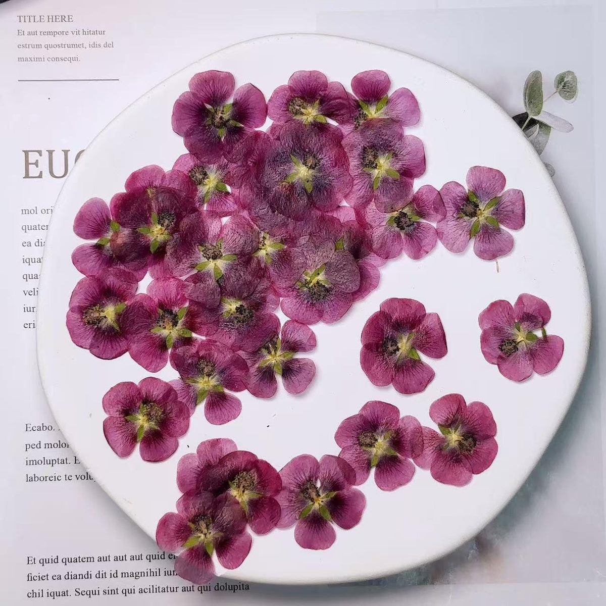 Pink purple Pressed flowers,12 PCS/Pack dried Pressed flowers,dried flower,deep pink Dried Pressed flowers ,pink Holiday gifts(2-3cm)