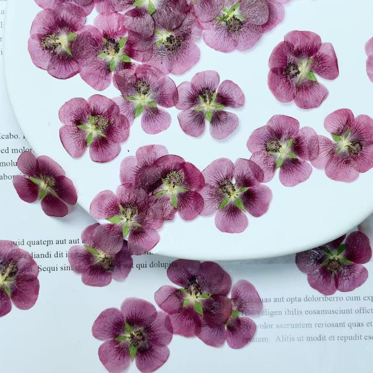 Pink purple Pressed flowers,12 PCS/Pack dried Pressed flowers,dried flower,deep pink Dried Pressed flowers ,pink Holiday gifts(2-3cm)