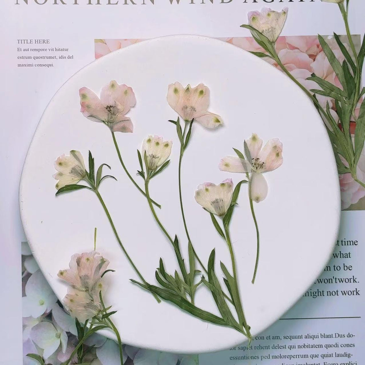 Pressed flowers,Light Pink Pressed flowers,dry flower stems,6 PCS/pack,dry Pressed flowers,dried flower,Pink Dried Pressed flower
