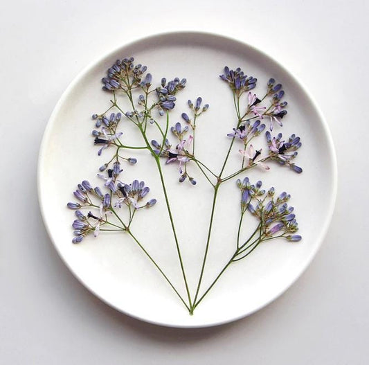 Pressed Light Purple China Berry Flowers: 6-Piece Resin Craft Set