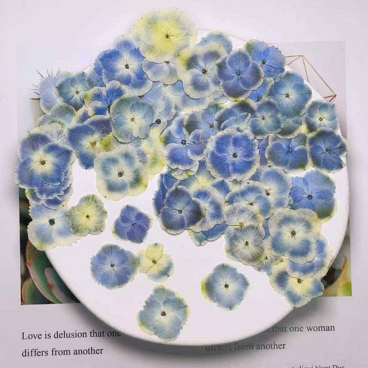 Pressed flower,Peacock Blue Hydrangea Pressed flower,Set of 10 PCS,mix Blue Hydrangea Pressed dried flower petals,Pressed dried flowers