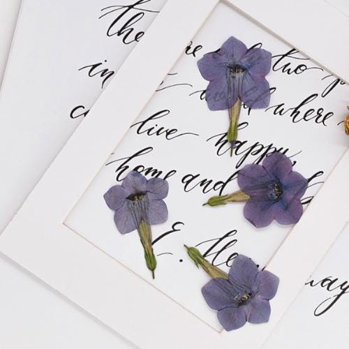Light Purple Pressed Nicotiana Flowers - 6 PCS Craft Supply