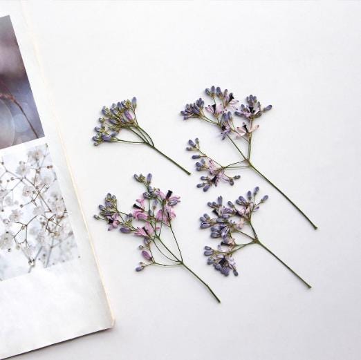 Pressed Light Purple China Berry Flowers: 6-Piece Resin Craft Set