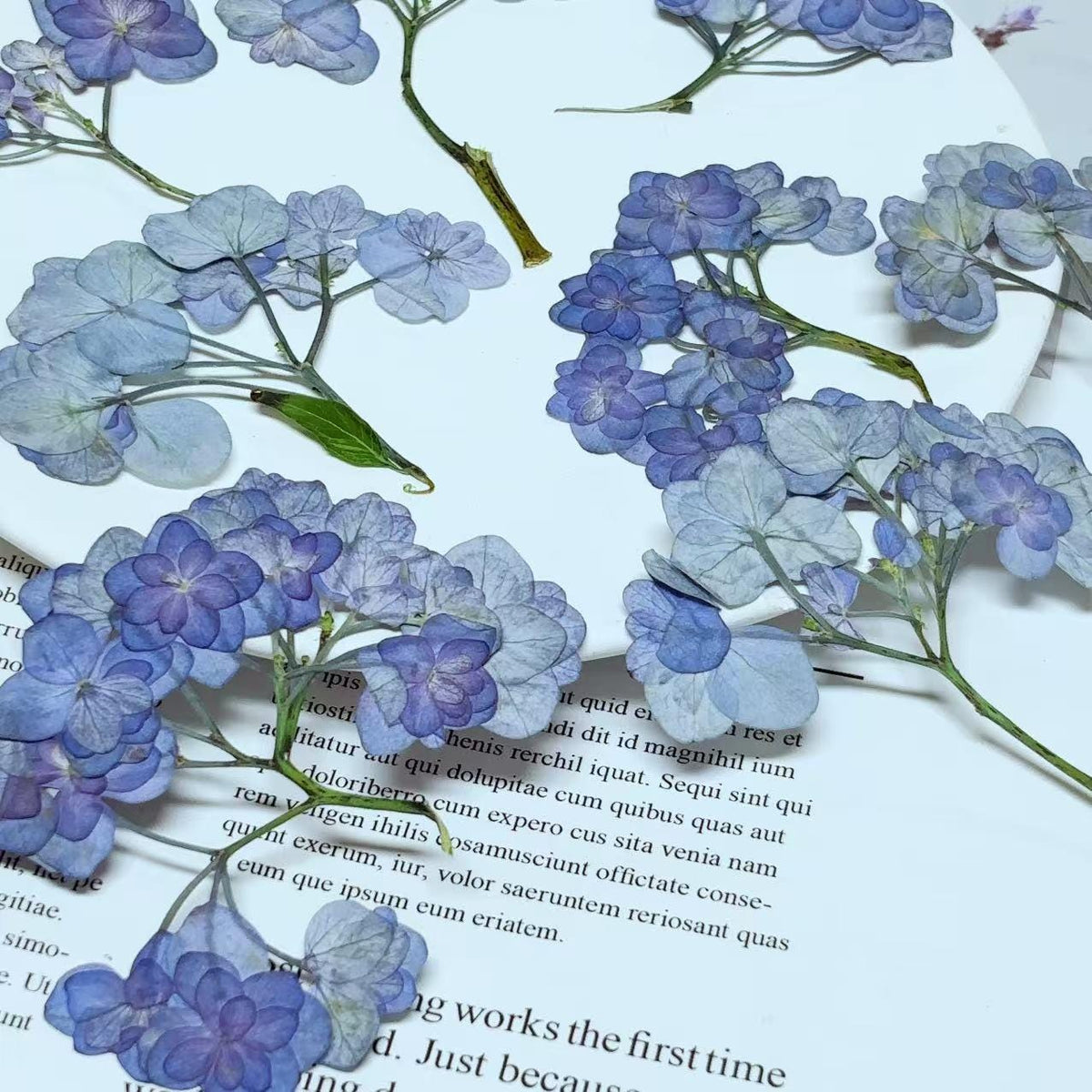 Pressed blue Purple Hydrangea Flowers,Resin Crafts, Paper Art (6 PCS)