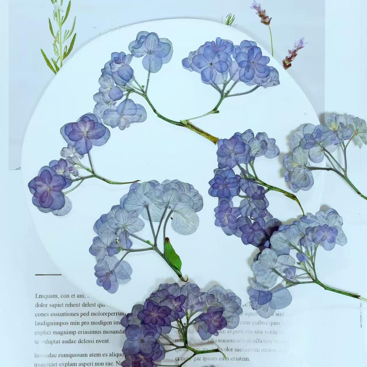 Pressed blue Purple Hydrangea Flowers,Resin Crafts, Paper Art (6 PCS)