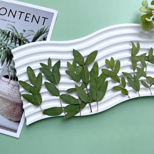 Pressed Eucalyptus Leaves: Floral Greenery, Resin Crafts (8 PCS)
