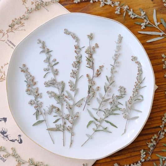 Pressed Flower,Ai Hua Pressed Flower,12 PCS/pack,Pressed Dried Flower Stem,Real Pressed Flower Dry Natural Pressed Flowers