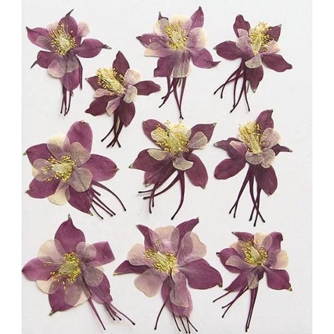 Bulk pressed flower,6 PCS/Pack,dried flat flower packs,pressed flower, purple Dried flower,Dried flower,Dry flowerPressed dry flowers