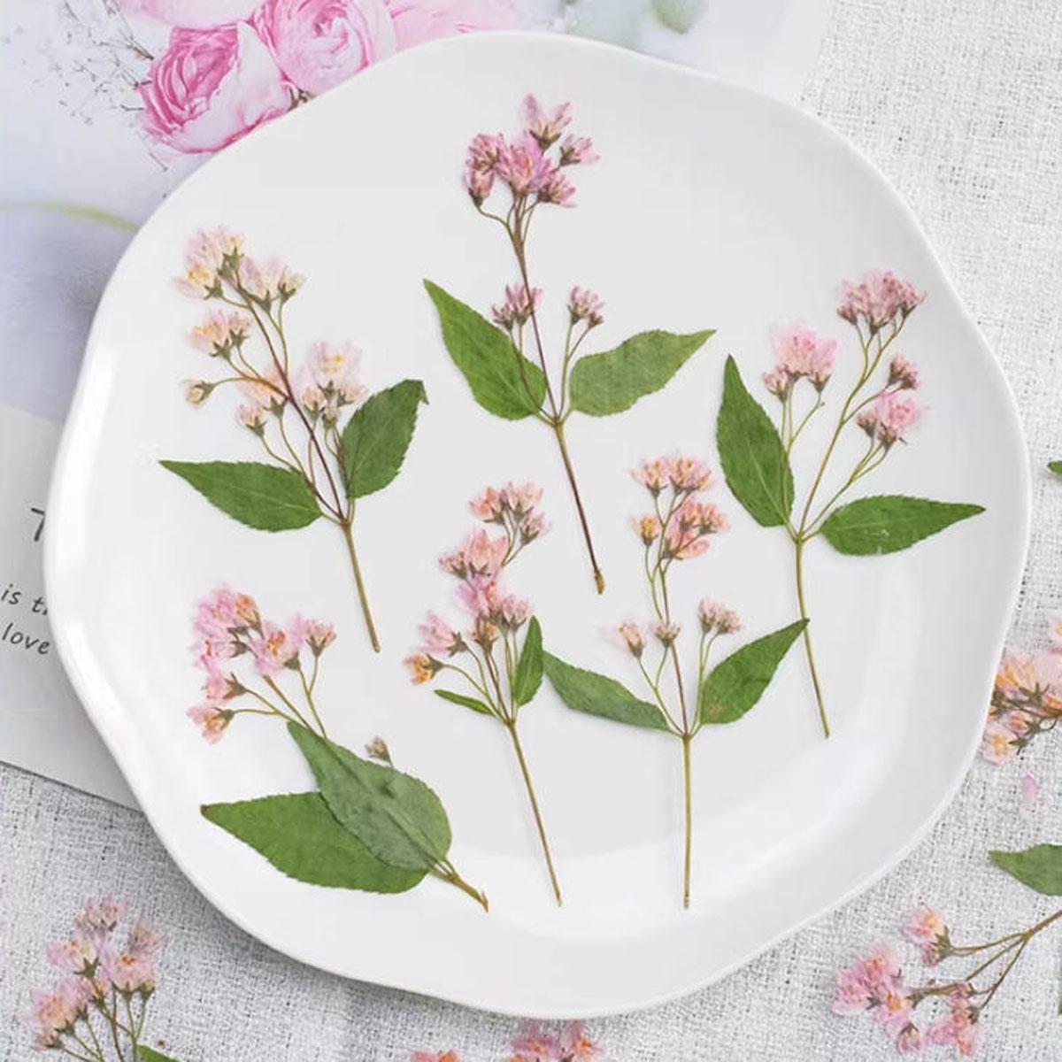 Pink pressed flowers,Pink pressed flowers,dried flower,A Pack of 6 PCS, pink flower,Pink flower bud flowers, Scrapbook flowers