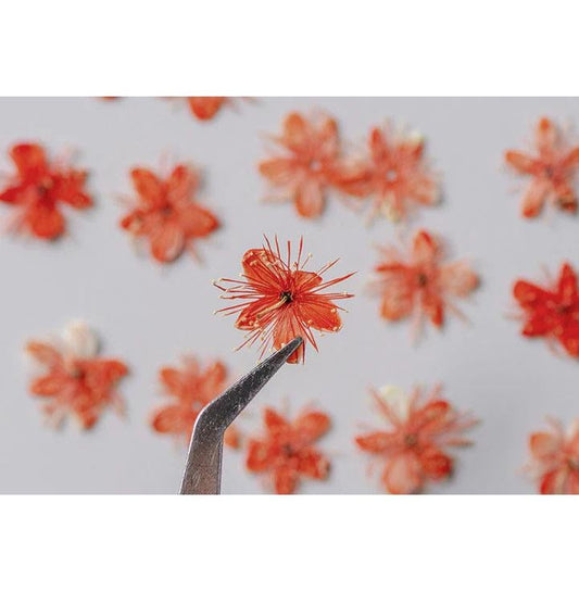 Pressed flower,Pressed Symplocos paniculata,12 PCS/Pack,Orange dried flower,Real orange flower,dried flower petals,Small dried flowers