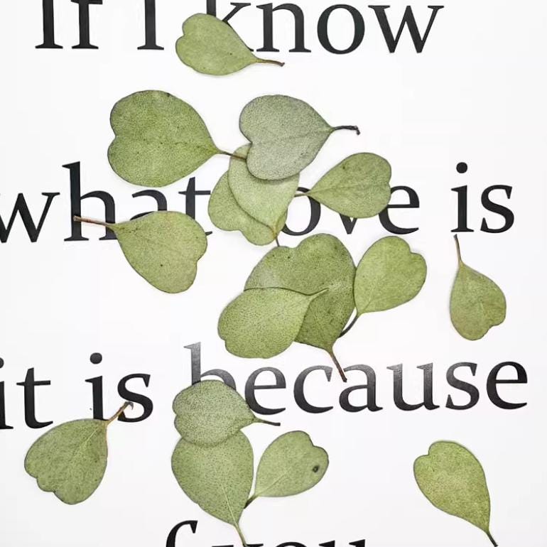 Pressed Eucalyptus Leaves: Heart shaped leaves Greenery leaf, Resin Crafts (10 PCS)