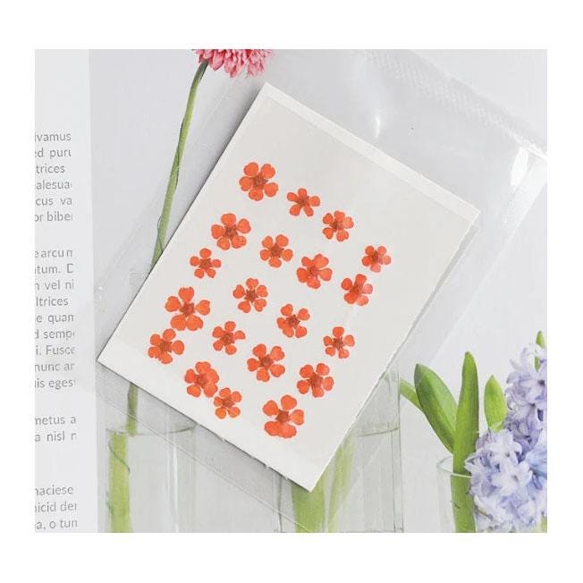 pressed flowers,orange pressed flowers,20 PCS/Pack,Small Nail Dried Flower, orange Dried flower,Small Narcissus,orange flower（0.5-0.8cm)