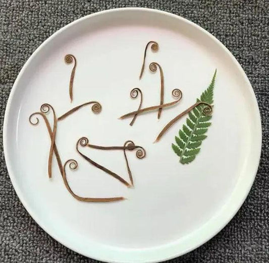 Plants decor,A Pack of 12 PCS ,Dried leaf decor,Dried Iron tree bud,plants Dried leaves,Pressed botanicals,Village craft