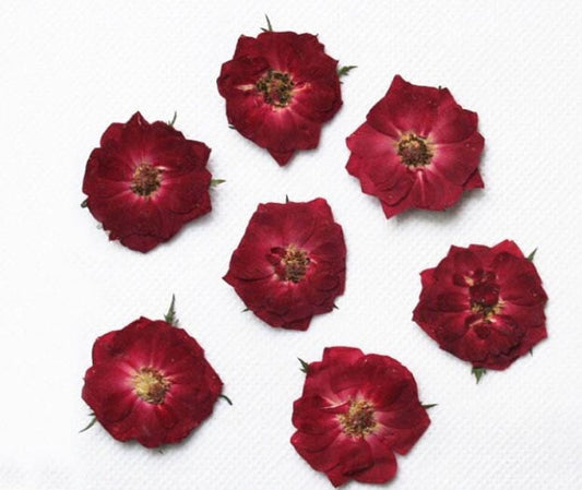 Rose Pressed flowers,A Pack of 10 PCS dried Pressed flowers,dried flower,rose Dried Pressed flowers ,Red rose Mothers Day gift