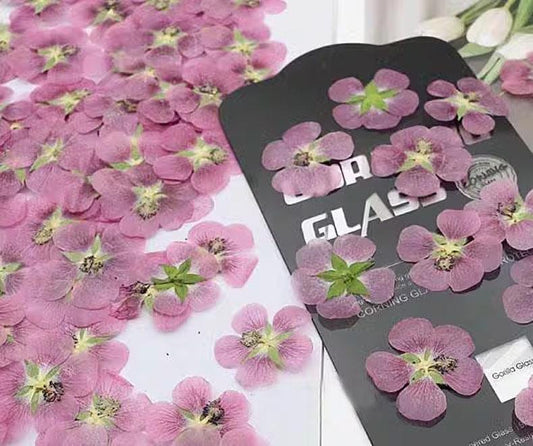 Pink Pressed Flowers, Invitation Embellishments, Resin Art Supplies (8 PCS)