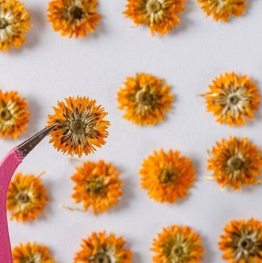 Orange Chrysanthemum Pressed Flowers: Resin Crafts, Invitations (10PCS)