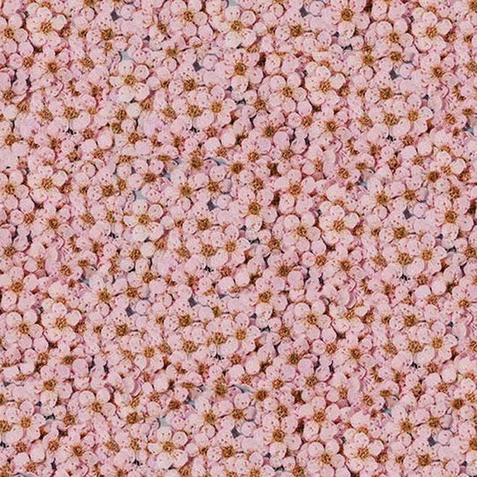 Pressed flowers,Light pink pressed flowers,20 PCS/Pack,Light pink flower,Light pink Dried flower,pressed flower,Small pink flower（0.5-0.8cm)