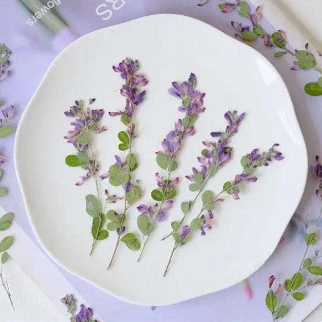 Resin dried flower,Pressed flowers,6 PCS/Pack,Blue flowered Lespedeza,Dried Pressed Flower,flower Stems Real Pressed  Flowers,dried flower