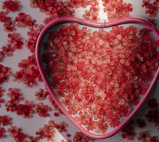Red Dried Flowers: 100 PCS Pressed Flower Set, DIY Plant Specimens
