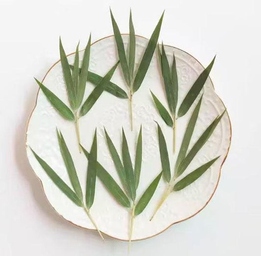 A Pack of 10 PCS  plants decor,Dried leaf decor,Dried bamboo leaves,plants Dried leaves,Pressed botanicals,Village craft