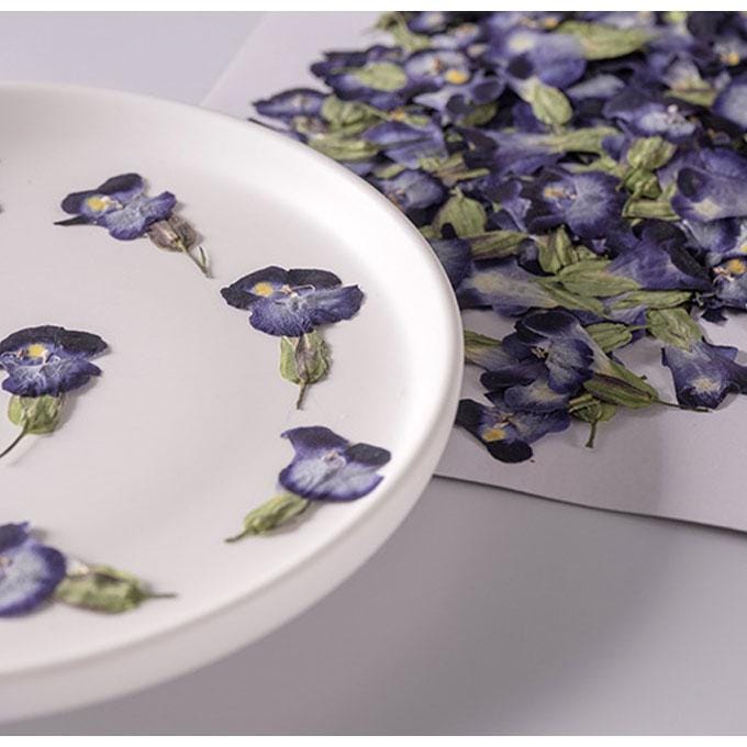Summer Viola Pressed Flowers, 12 PCS Bulk, Resin Crafts