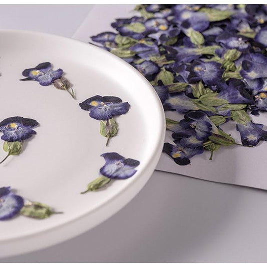 Summer Viola Pressed Flowers, 12 PCS Bulk, Resin Crafts