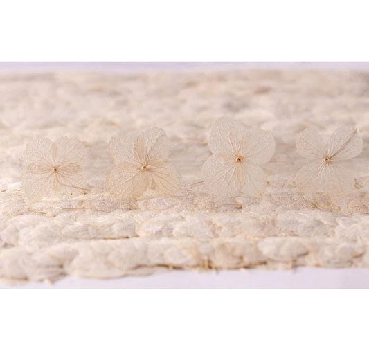 Natural White Hydrangea Dried Flowers - 12PCS Pack dry flower,Pressed flowers