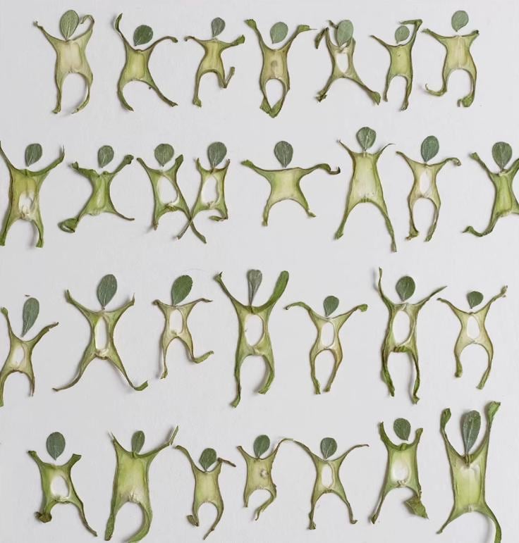 Pressed plant Leaf,Human shaped combination pattern Real Dried Leaves, Craft Supplies (6 PCS)