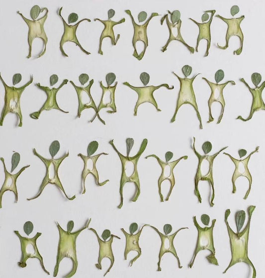 Pressed plant Leaf,Human shaped combination pattern Real Dried Leaves, Craft Supplies (6 PCS)